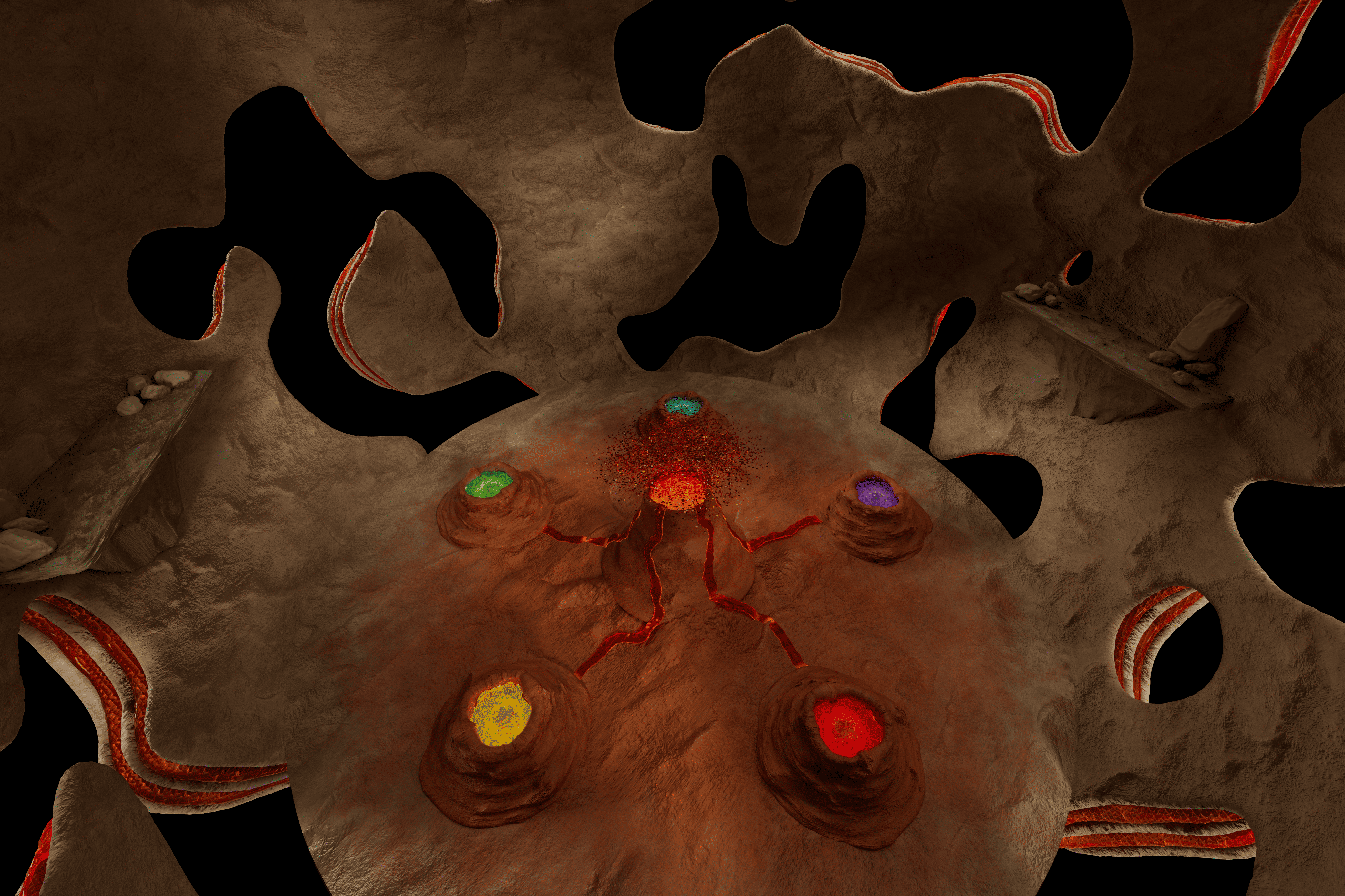 Nucleus Accumbens — beautyshot